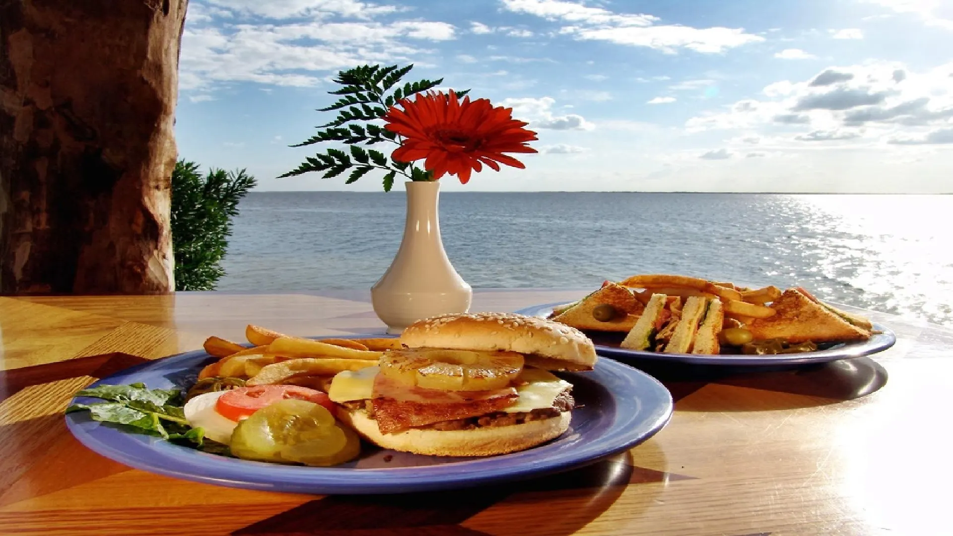 אתר נופש מלון קנקון Sunset Marina & Yacht Club